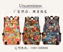 怎样选择一个适合自己使用的背包